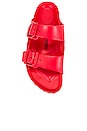 view 4 of 5 Arizona EVA Sandal in Active Red