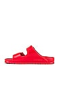 view 5 of 5 Arizona EVA Sandal in Active Red