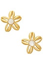 view 1 of 1 Aloha Earrings in Gold