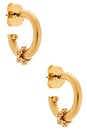 view 1 of 3 Bay Hoops in Gold