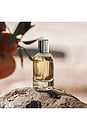 view 4 of 8 Remi Eau De Parfum in 