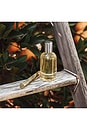 view 8 of 8 Remi Eau De Parfum in 