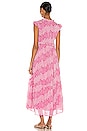 view 3 of 3 Constance Dress in Maiden Grass Raspberry Rose