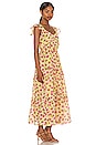 view 2 of 3 Erin Dress in Flower Carpet Vibrant Yellow