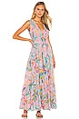 view 1 of 3 Carlota Maxi Dress in Lisbon Garden Wild Rose