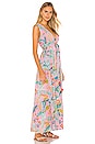 view 2 of 3 Carlota Maxi Dress in Lisbon Garden Wild Rose