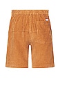 view 2 of 4 Big Bear Walkshort in Toffee