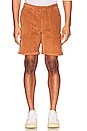 view 4 of 4 Big Bear Walkshort in Toffee
