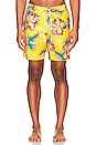 view 3 of 3 Prim Boardshort in Mango