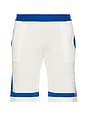 view 1 of 5 Paneled Knit Shorts in White & Blue