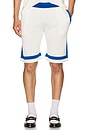 view 4 of 5 Paneled Knit Shorts in White & Blue
