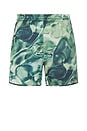 view 1 of 5 Shorts in Green