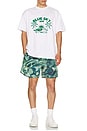 view 4 of 4 Green Wave T-Shirt in White