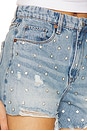 view 6 of 6 Denim Short in Set in Set in Stone