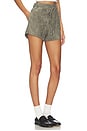 view 2 of 6 Tie Shorts in Desert Sage