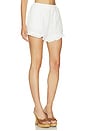 view 3 of 7 Eyelet Short in Daisy Daze