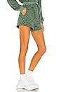 view 2 of 4 Animal Print Jogger Short in No Cap