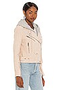 view 3 of 5 Suede Moto Jacket in Sunday Drive