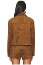 view 3 of 5 Cropped Jacket in Camel