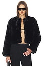 view 1 of 5 Crop Faux Fur Coat in Cash Flow