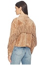 view 1 of 5 CROPPED  ジャケット in Maple Sugar
