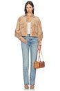 view 6 of 5 CROPPED  ジャケット in Maple Sugar