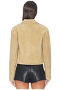view 5 of 5 SUEDE  ジャケット in Cinnamon Crunch