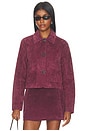 view 1 of 5 CHAQUETA SUEDE in Wine O'clock