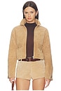 view 1 of 5 CHAQUETA MOTO in Candle Glow