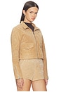 view 4 of 5 CHAQUETA MOTO in Candle Glow