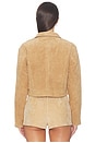 view 5 of 5 CHAQUETA MOTO in Candle Glow
