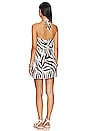 view 3 of 3 Twist Halter Mini Dress in Brown Zebra Print
