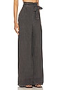 view 2 of 4 Paper Bag Waist Wide Leg Pant in Dark Espresso