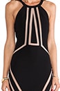 view 5 of 5 Ida Dress in Black & Nude