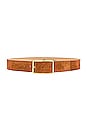 view 1 of 3 Milla Suede Belt in Cognac & Gold