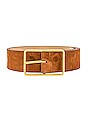 view 3 of 3 Milla Suede Belt in Cognac & Gold