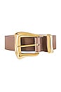 view 3 of 3 Logan Belt in Taupe & Gold