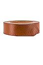 view 3 of 3 Ribbon Wrap Belt in Tan & Gold