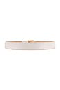 view 2 of 3 Kennedy Belt in Bone & Gold