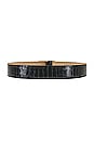 view 2 of 3 Milla Croco Luster Belt in Black & Gold