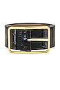 view 3 of 3 Milla Croco Luster Belt in Black & Gold