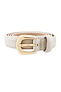 view 3 of 3 Kennedy Mini Belt in Bone & Gold