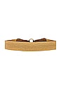 view 2 of 3 Willa Belt in Cuoio & Gold