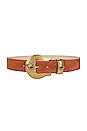 view 1 of 3 CEINTURE TORI in Cognac & Brass