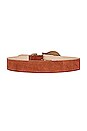 view 2 of 3 CEINTURE TORI in Cognac & Brass
