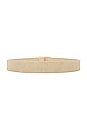 view 2 of 3 Milla Suede Belt in Light Sand & Gold