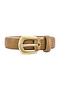 view 3 of 3 Kennedy Mini Belt in Camel & Gold
