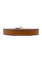 view 2 of 3 Amias Belt in Cuoio & Gold