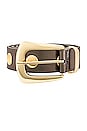view 3 of 3 Jordana Mini Moto Metallic Belt in Pewter & Gold
