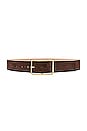 view 1 of 3 Milla Suede Belt in Chocolate & Gold